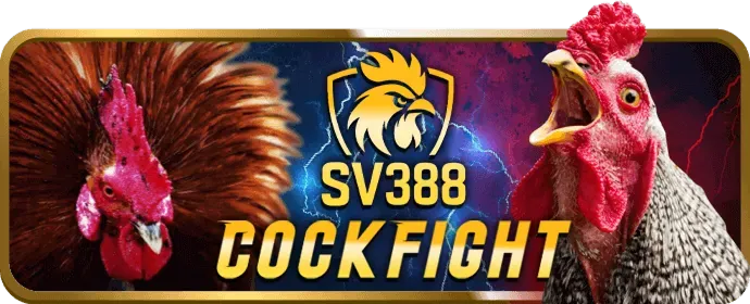 Xác nhận và hoàn tất đăng ký sp8bet